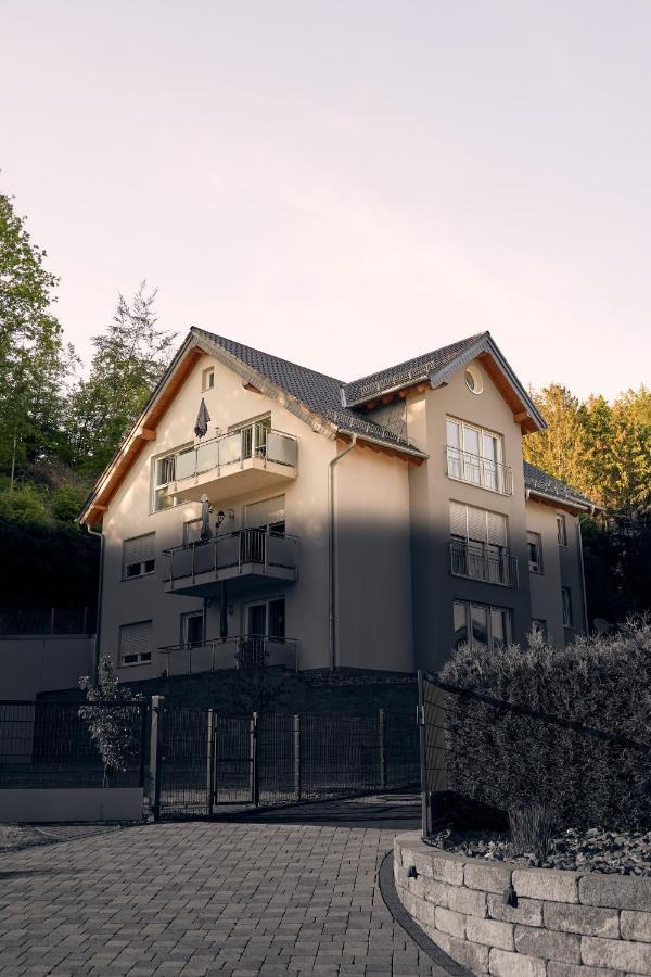 118Qm Premium Apartment - Birkenfeld National Park Ellweiler 外观 照片